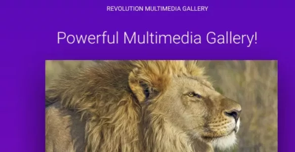 Revolution Multimedia Gallery